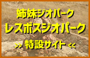 姉妹ジオパークレスボスジオパーク
特設サイト