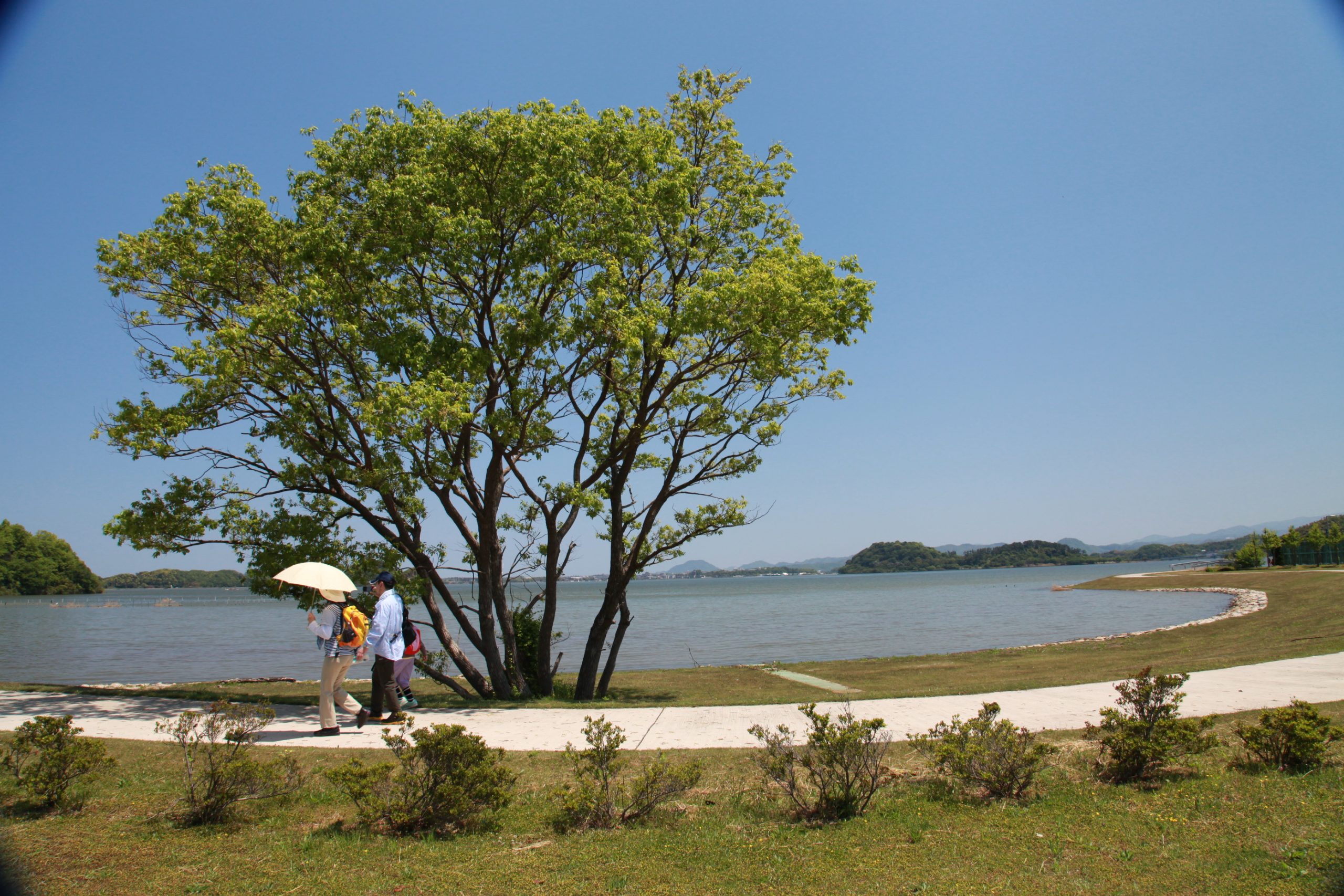 Lake Koyama