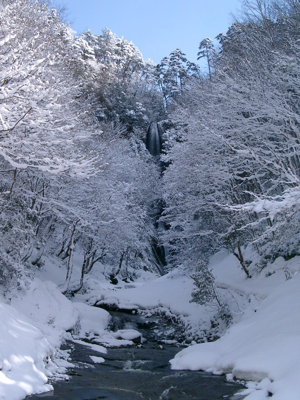 猿尾滝（冬）