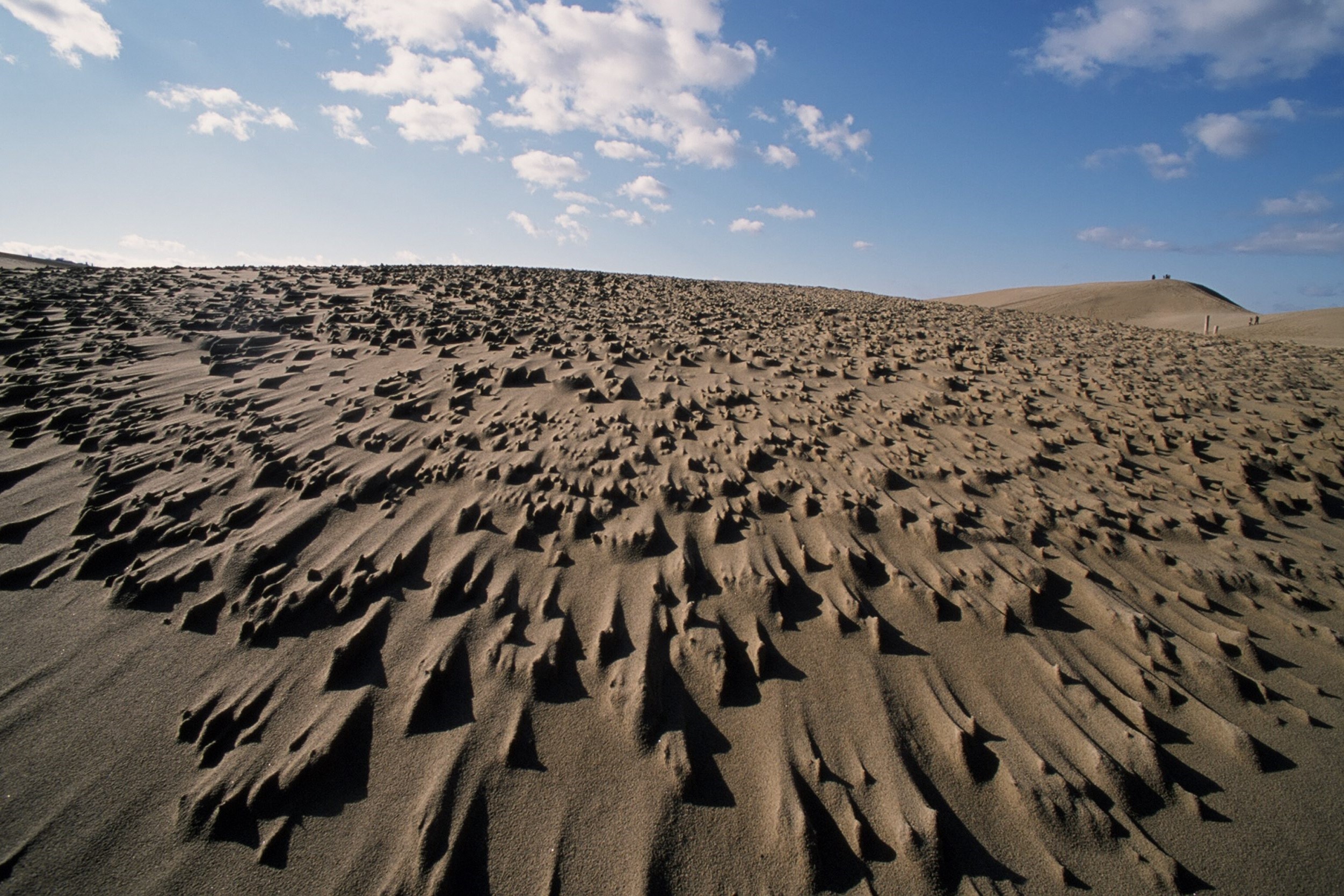 砂丘に見られる微地形