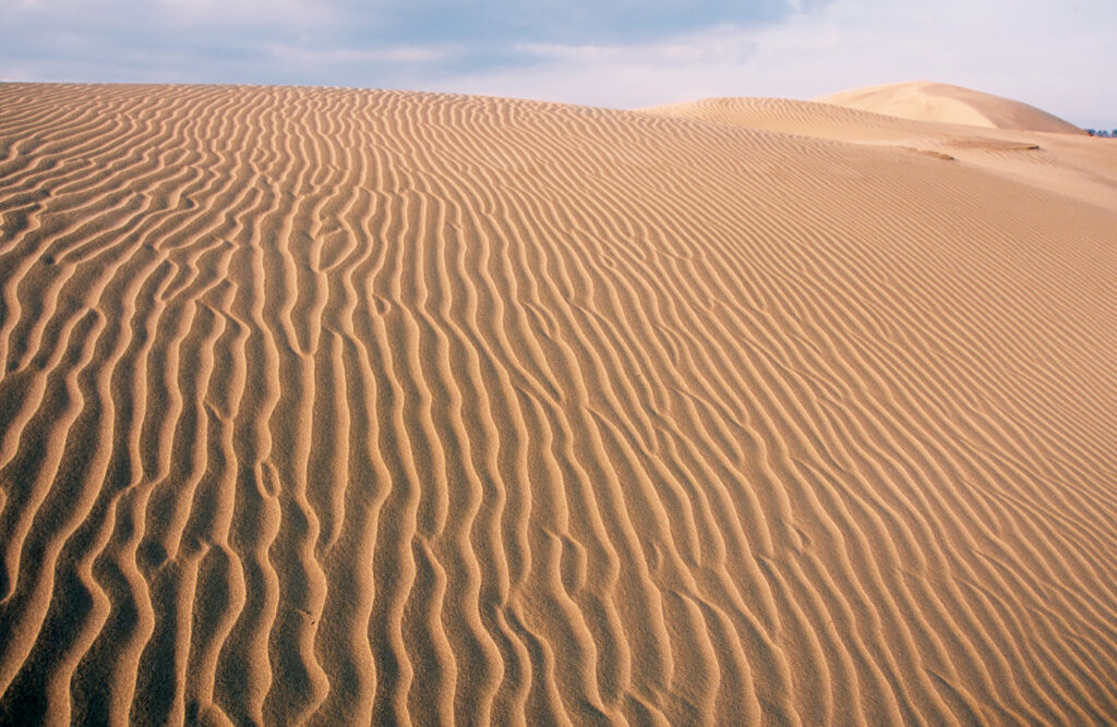 コース６ 砂と風による奇跡の造形美 鳥取砂丘 を歩く