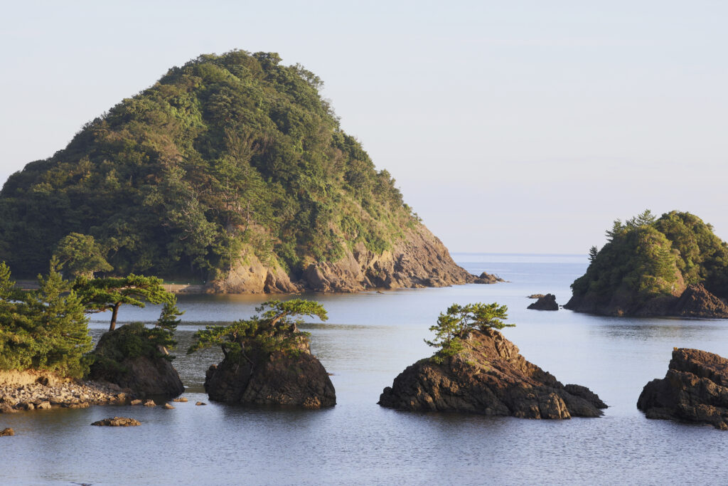 コース16：日本海拡大期の環境を語る足跡たちを楽しむ