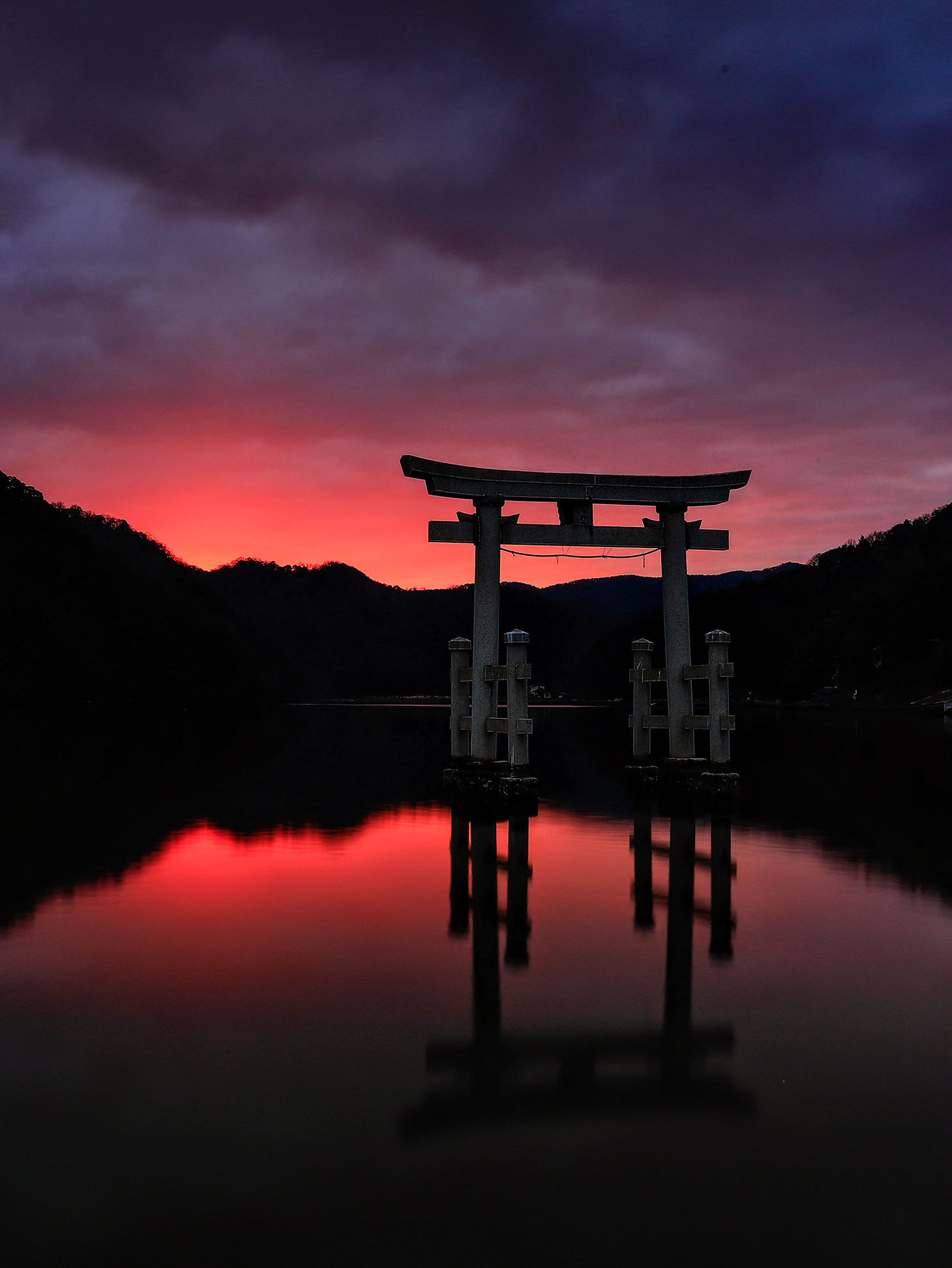 水鳥居 光彩