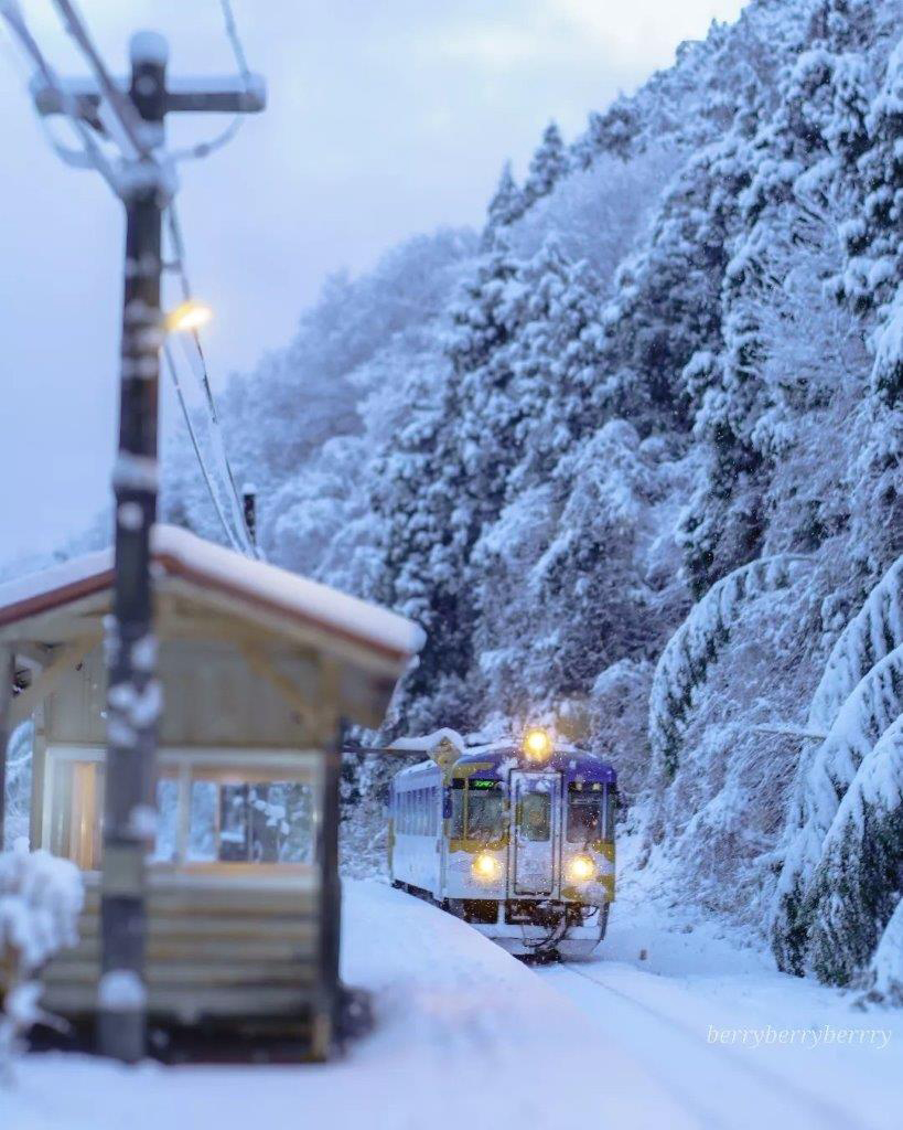 雪鉄