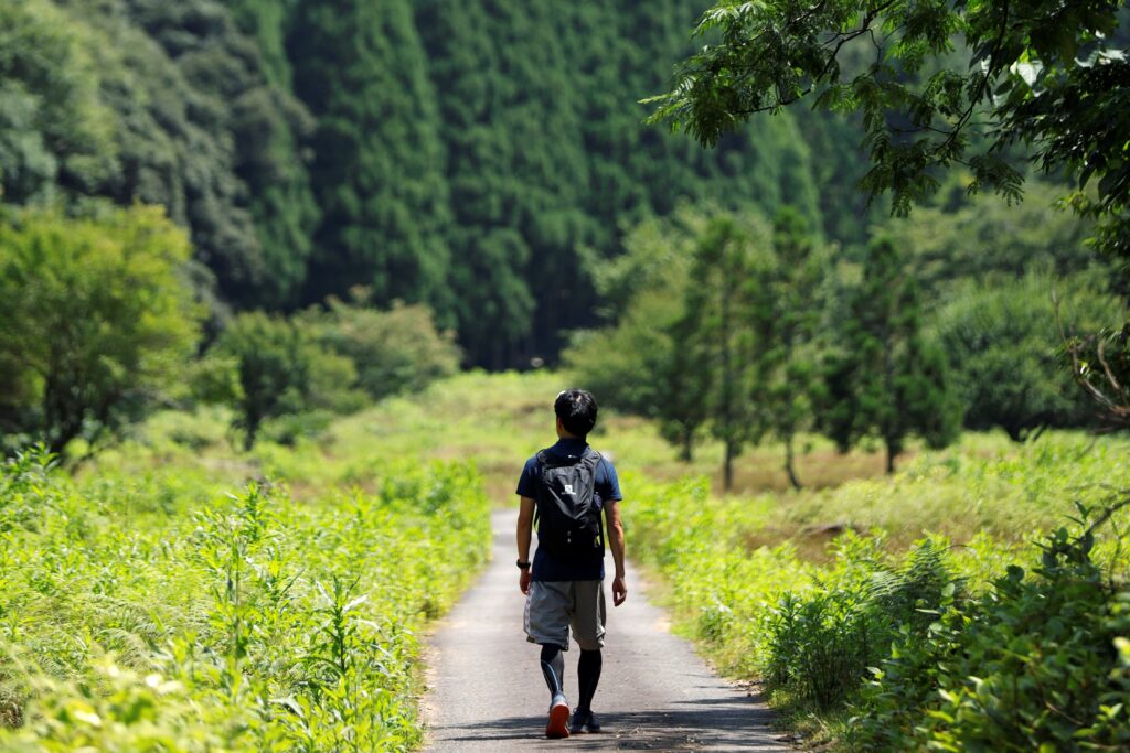 コース21：コウノトリ立ち寄る湿地とほぼ森に還った山道を越える