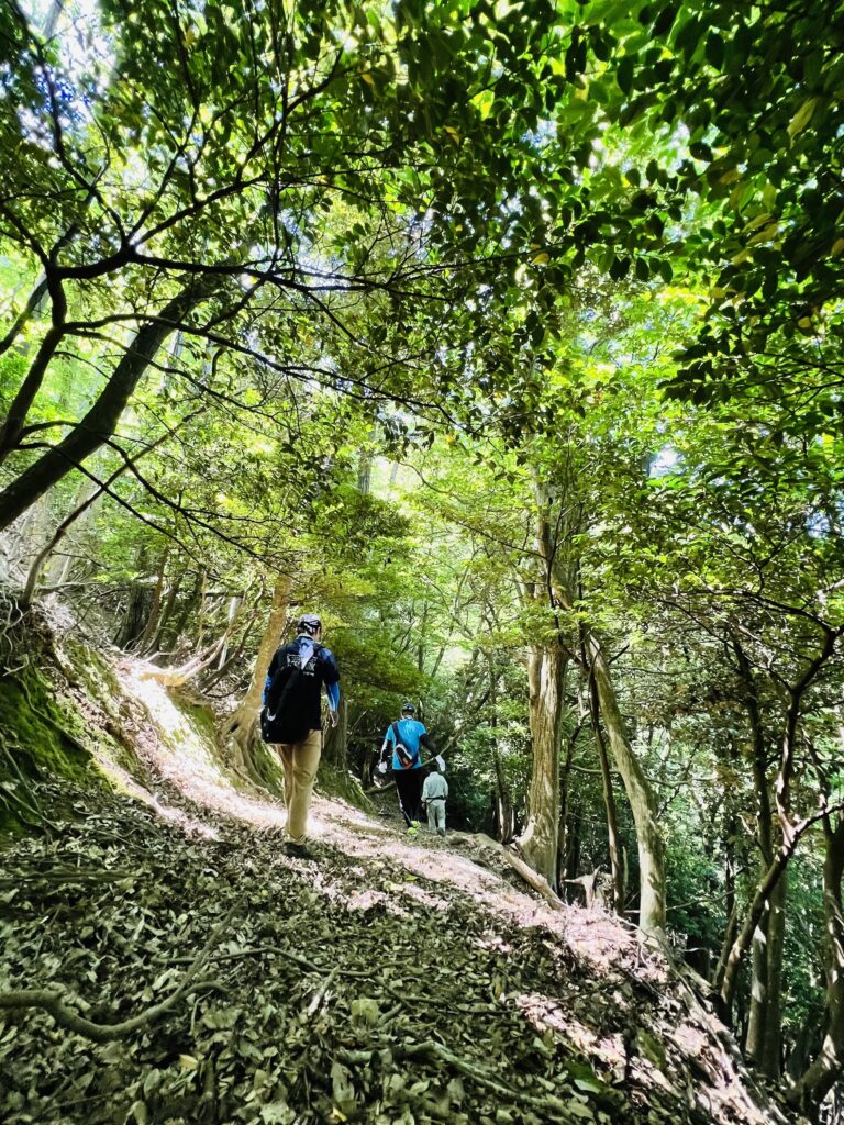 コース21：コウノトリ立ち寄る湿地とほぼ森に還った山道を越える